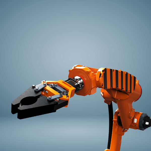 3D Renders