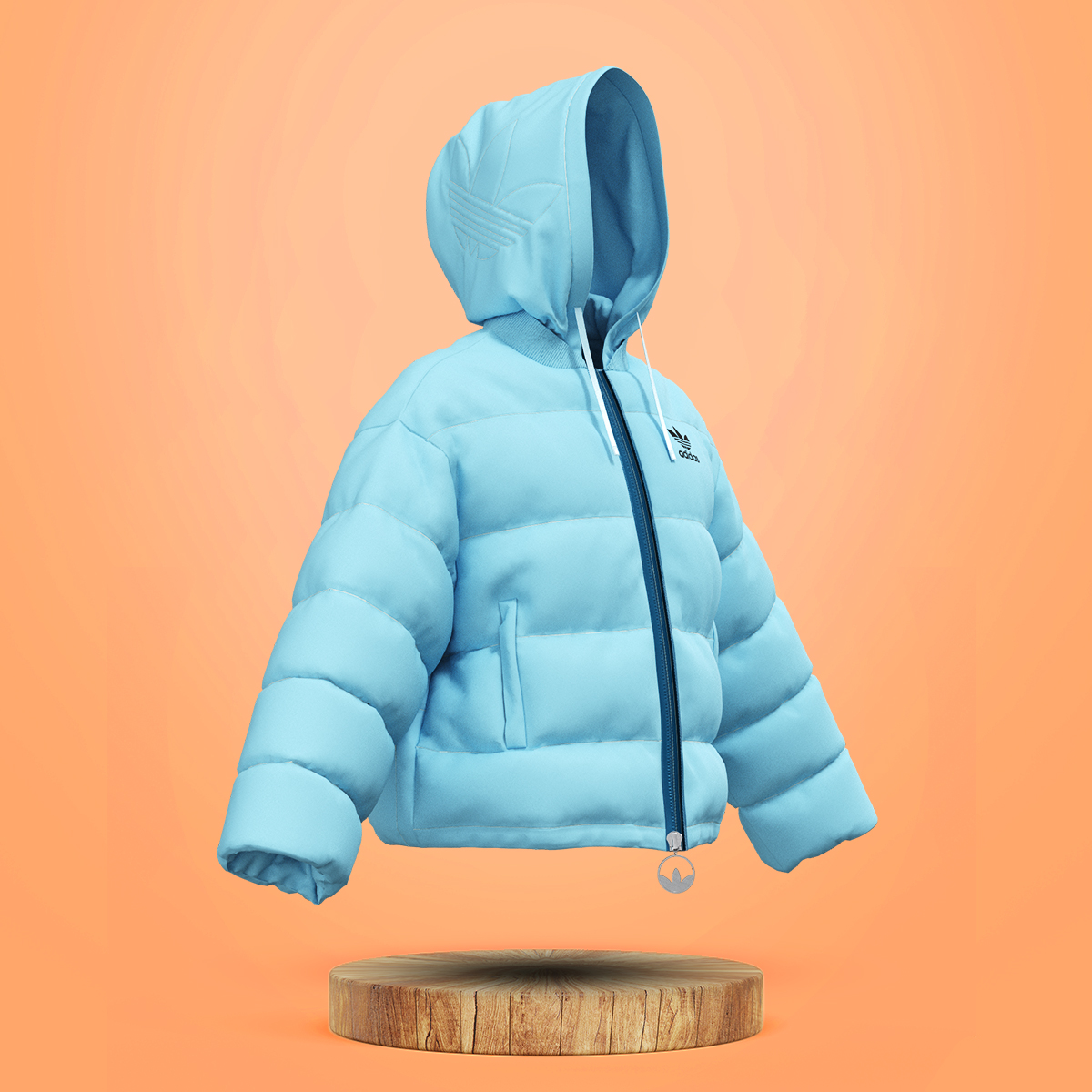 Hoodie 3D Renders