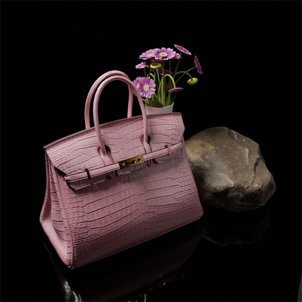 Hand Bag 3D Renders