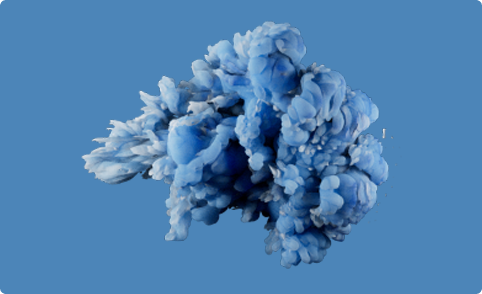 2D & 3D animation services