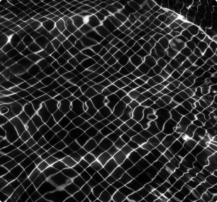 Motion Graphics